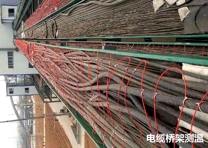 電纜橋架、電纜溝、電纜隧道(dào)溫度監測項目案例